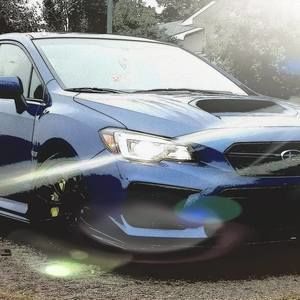 Meet your Posher, Calvin